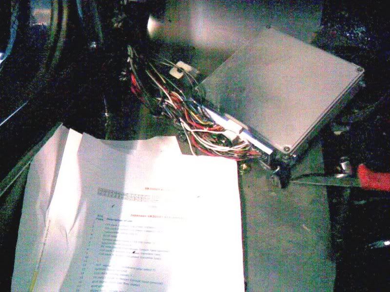 20052007008.jpg?t=1179815941