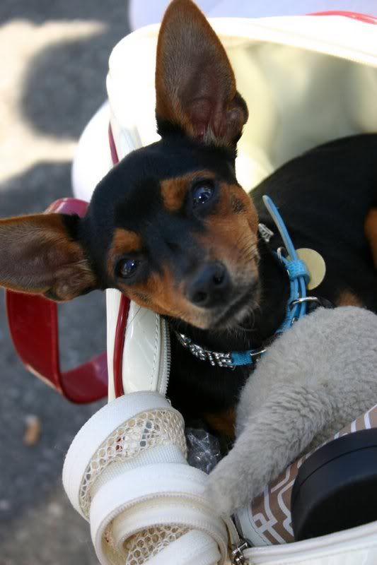 Bilde085.jpg?t=1186640840