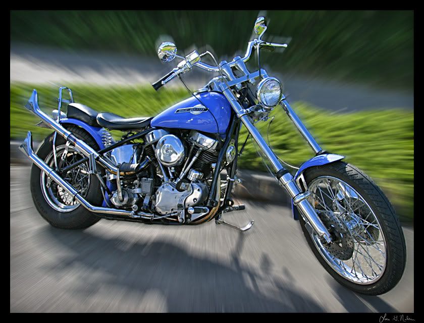IMAGE: http://i2.photobucket.com/albums/y41/uvi/stevesBike.jpg