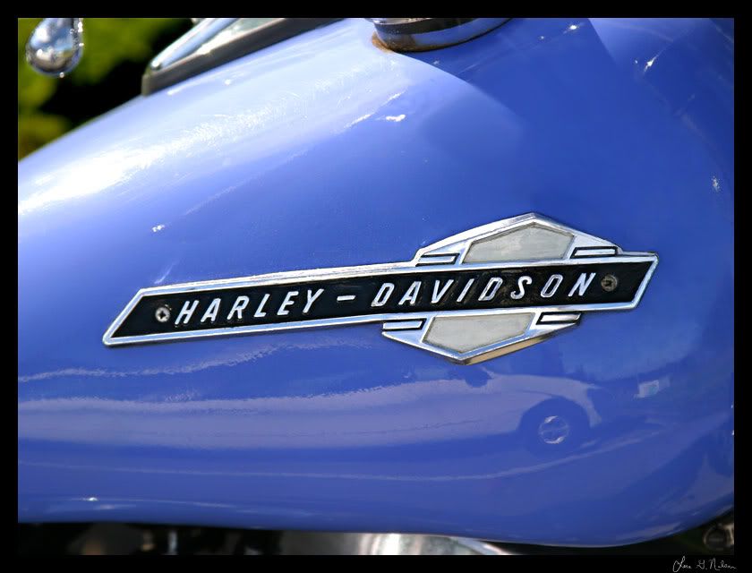 IMAGE: http://i2.photobucket.com/albums/y41/uvi/stevesBike2.jpg