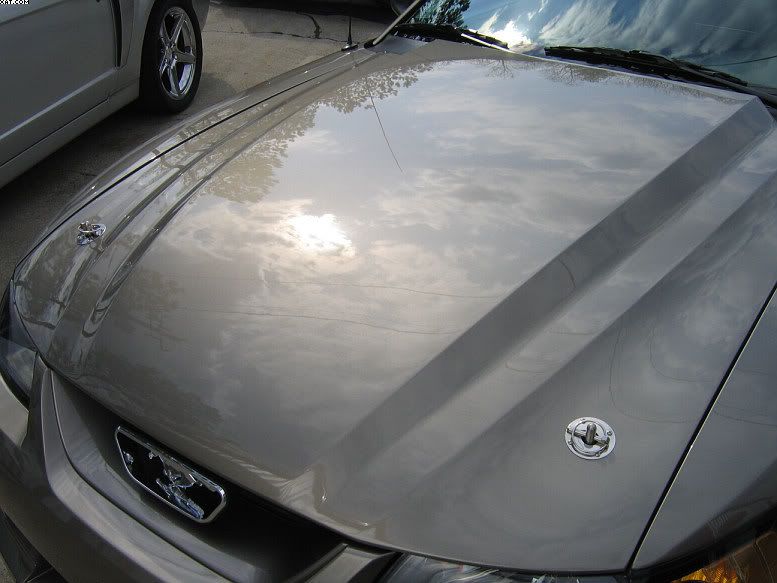 02GT11a.jpg