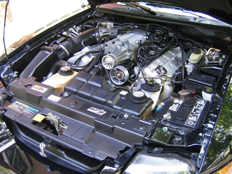 03Cobra10a.jpg