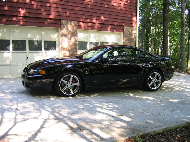03Cobra1a.jpg
