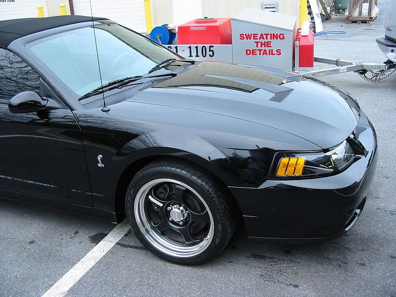 03Cobra1ab.jpg