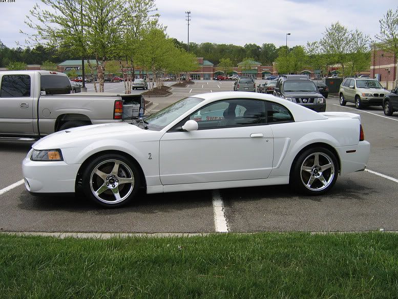 04Cobra1a.jpg