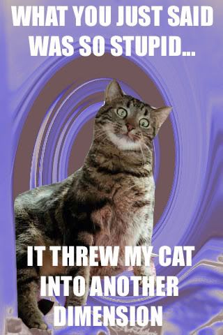 funny cats with captions. funny cats with captions.
