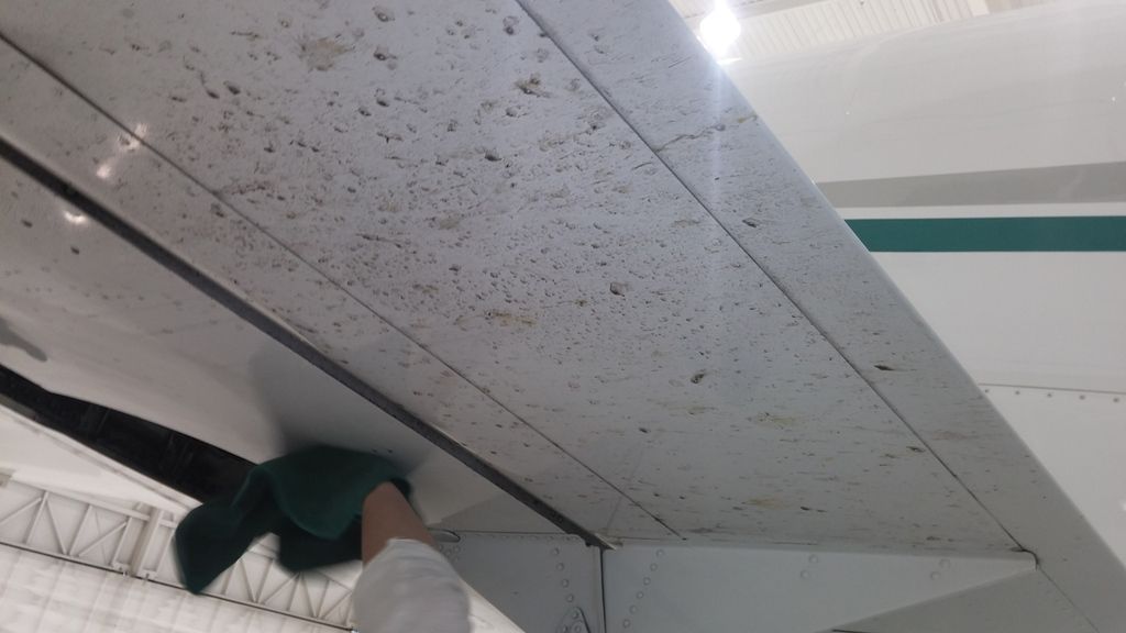 20150926_103151.jpg
