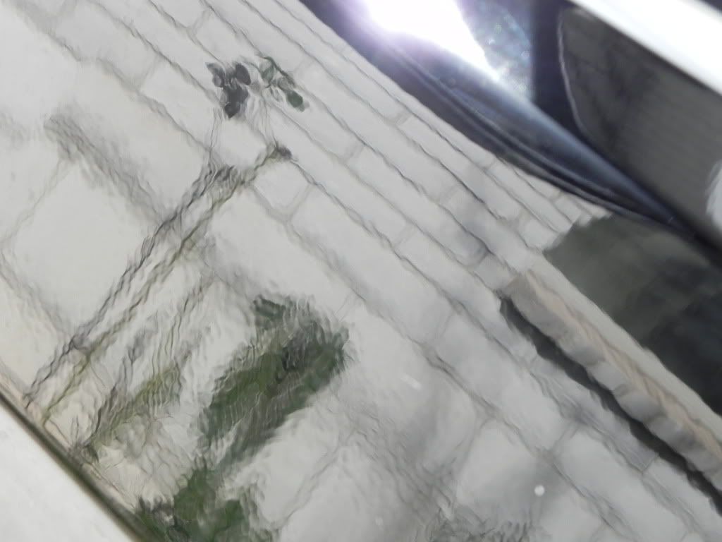 DSCN0913.jpg