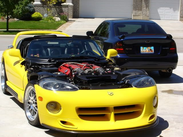 Viper1.jpg