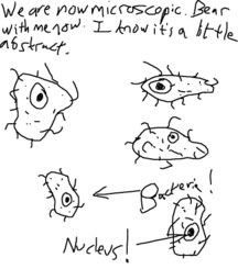 Image hosted by Photobucket.com