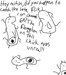 Image hosted by Photobucket.com