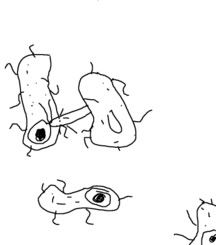 Image hosted by Photobucket.com