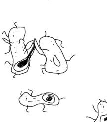 Image hosted by Photobucket.com