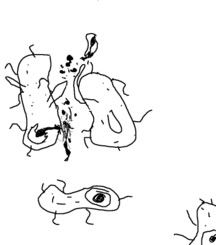 Image hosted by Photobucket.com