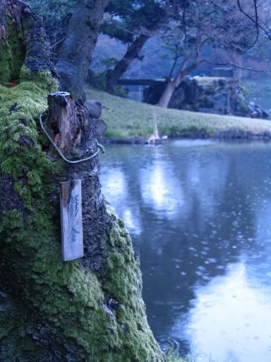 Image hosting by Photobucket