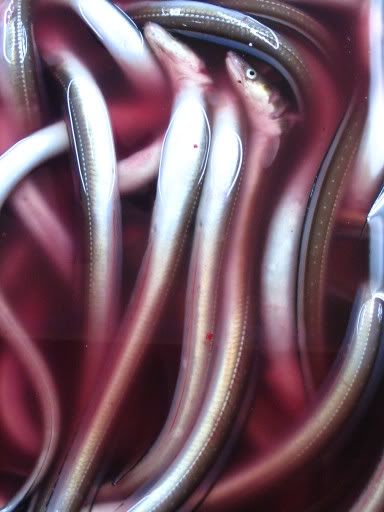 Image hosting by Photobucket