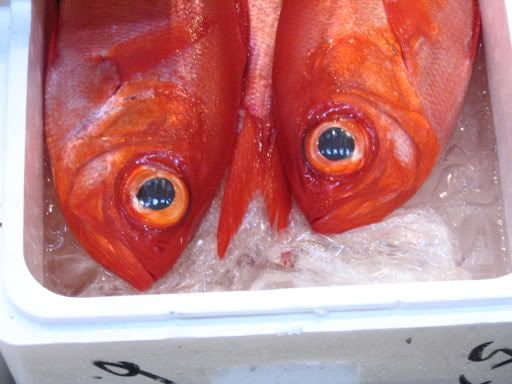 Image hosting by Photobucket