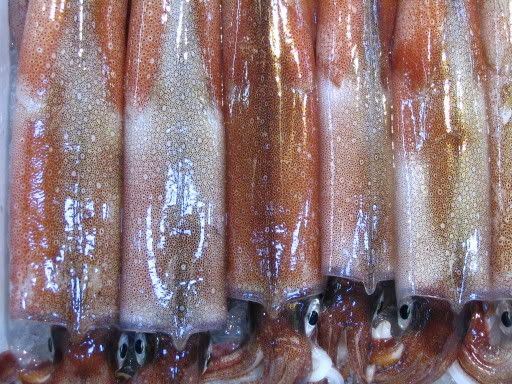 Image hosting by Photobucket