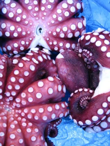 Image hosting by Photobucket