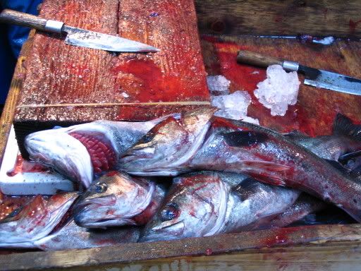 Image hosting by Photobucket