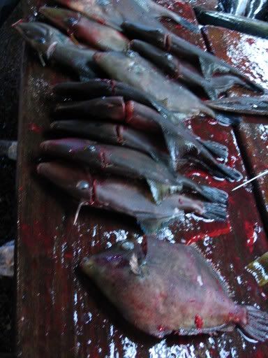 Image hosting by Photobucket