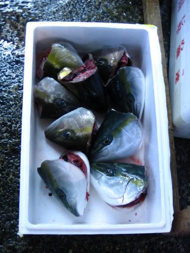 Image hosting by Photobucket