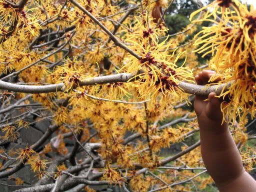 Image hosting by Photobucket