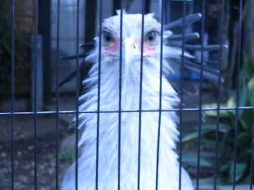 Image hosting by Photobucket