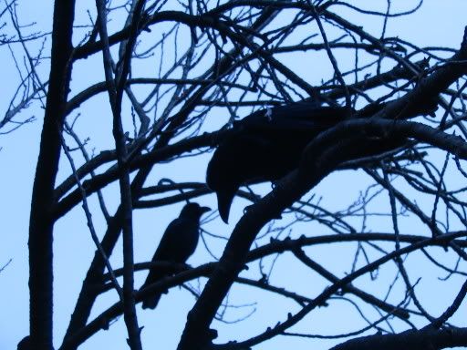 Image hosting by Photobucket