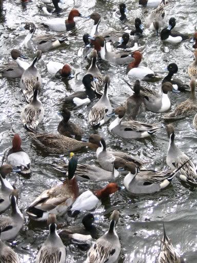 Image hosting by Photobucket