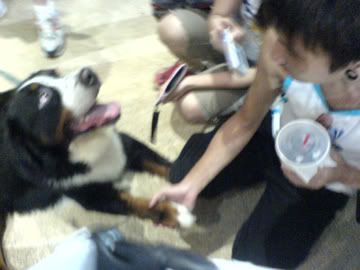 Photo Sharing and Video Hosting at Photobucket