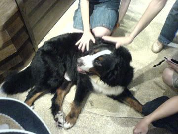 Photo Sharing and Video Hosting at Photobucket