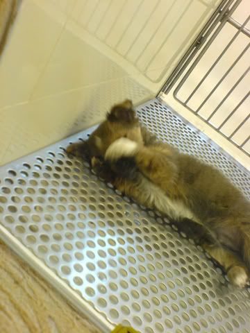 Photo Sharing and Video Hosting at Photobucket