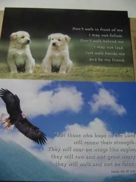 Image hosted by Photobucket.com