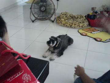 Photobucket - Video and Image Hosting