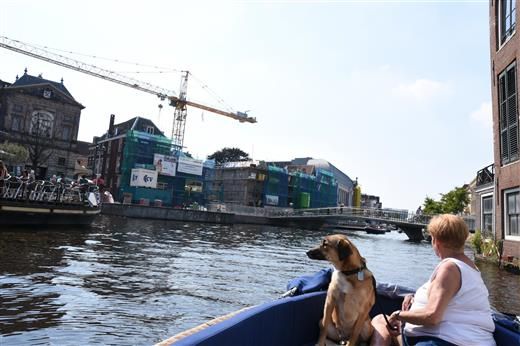http://i2.photobucket.com/albums/y42/dommeltje/dommeltje001/varen19%20juli%2018.jpg