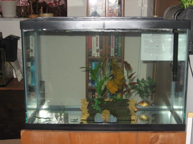 Posted Image