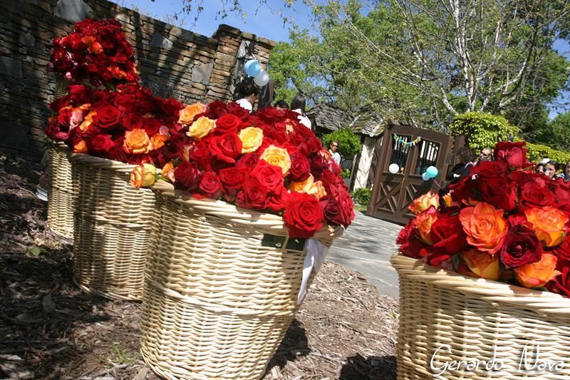 roses.jpg