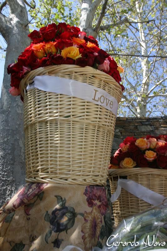 roses3.jpg
