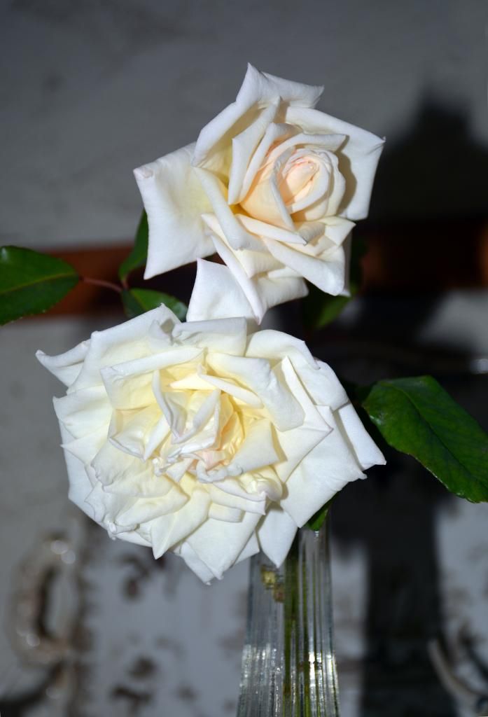 Jesse Hildreth 9/4/14 photo JESSEINVASE9-4_zps3c6804d7.jpg