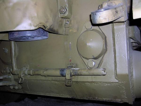 TigerBovtrackpinreturn.jpg