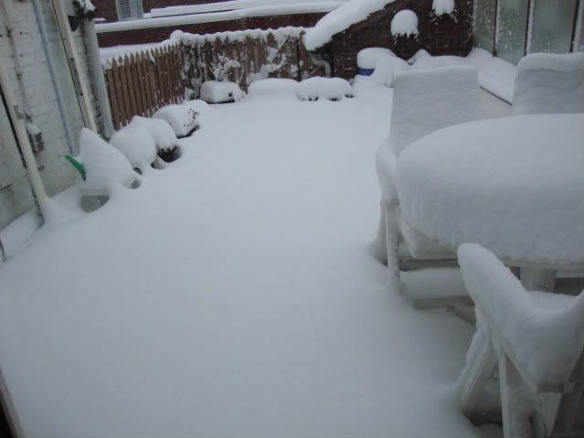 DSC03053.jpg