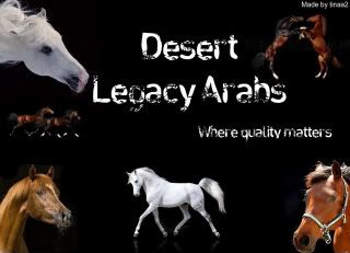 Desert_Legacy_Arabs-1.jpg