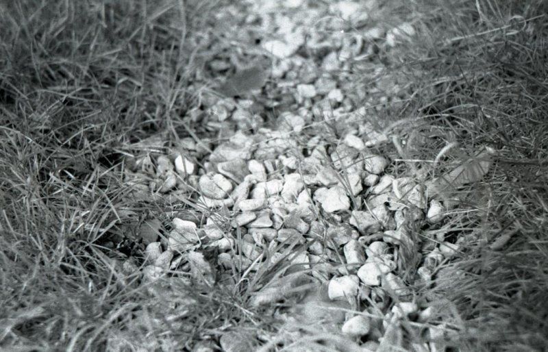 Untitled-3x_sm.jpg