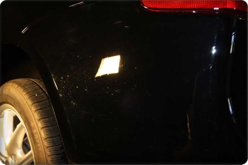 newP-cayenne024.jpg