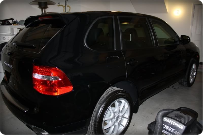 newP-cayenne082.jpg