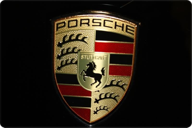 newP-cayenne085.jpg