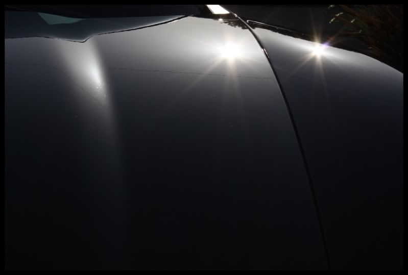 newVette046.jpg
