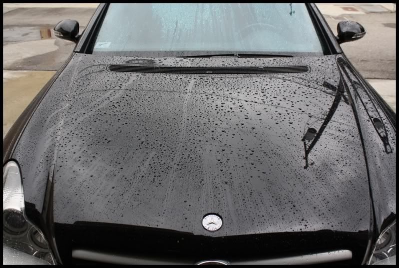 newcls55005.jpg