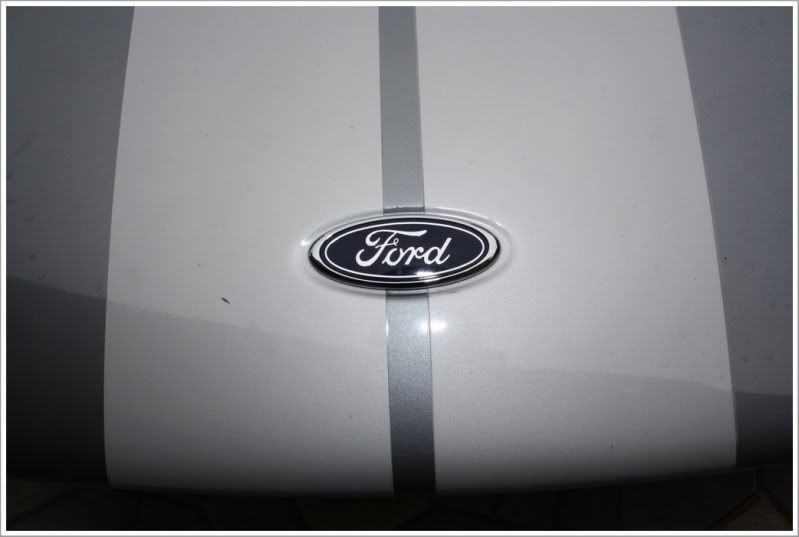 newfordGT001.jpg